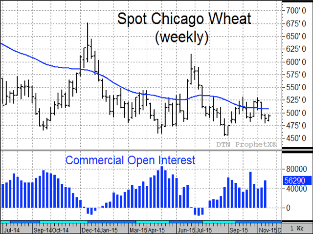 The chart shows that commercials have consistently increased positions in the long side of Chicago wheat when prices fall below $5.00, a good indication of demand in spite of this year&#039;s poor export performance. (Source: DTN ProphetX)